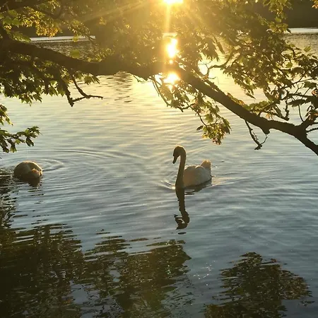 Апартаменты Lakeside Lookout