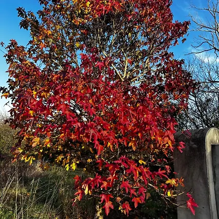 Lakeside Lookout Bantry 公寓