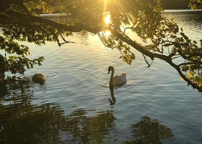 Lejlighed Lakeside Lookout