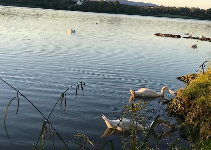 Lejlighed Lakeside Lookout