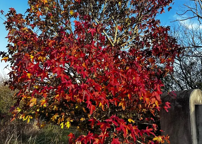 Lakeside Lookout Apartamento